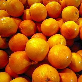 雲林古坑真有味~古坑鄉農產品